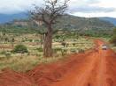 Mobile technologies take hold to shape the future of Africa - The ...