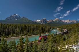 Résultat de recherche d'images pour "morant's curve"