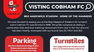 Image result for Cobham Sports Association Ltd