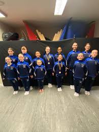 Image result for Monarchs Sports Acrobatics Club