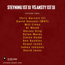 Image result for Steyning Cricket Club