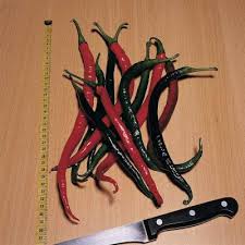 Afbeeldingsresultaat voor joe long cayenne hot pepper