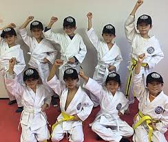 Image result for Seiki Juku Karate Club