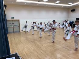 Image result for Surrey Taekwondo