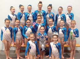 Image result for Wiltshire School Of Gymnastics