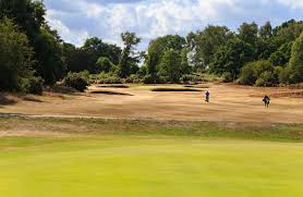Image result for Reigate Heath Golf Club