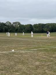 Image result for Henley Cricket Club
