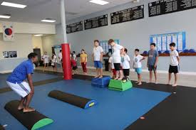 Image result for Les Voleurs Parkour Club