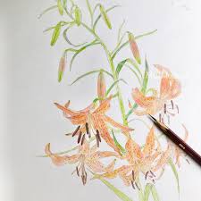 「望月麻里（マリ） デビルサバイバー」の画像検索結果