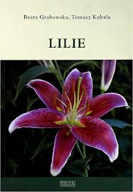 Image result for Lilie