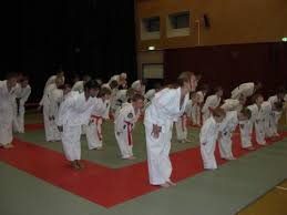 Image result for Colchester Wado Ryu Karate