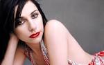 pj harvey tonight at terminal