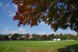 Image result for Bowdon Cricket Club