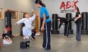 Image result for America's Best Karate