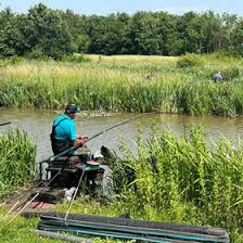 Image result for Dunham Massey Angling Club