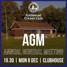 Image result for Portishead Cricket Club