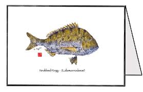 Image result for Calamus nodosus