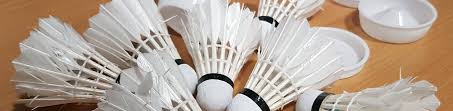 Image result for Hertford Badminton Club