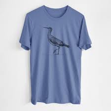 Image result for Numenius borealis