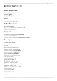 Attēlu rezultāti vaicājumam “Juncus capitatus fruit”