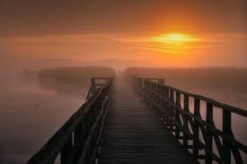 Image result for bilder