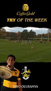 Image result for York Rugby Union Football Club