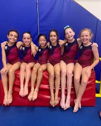 Image result for Ipswich Gymnastics