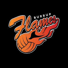 Image result for Flames Netball Club