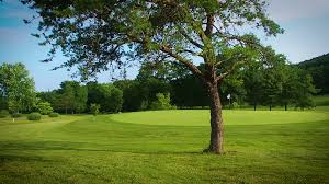 Image result for South Kyme Golf Club