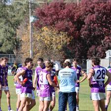 Image result for Molineux Netball Club