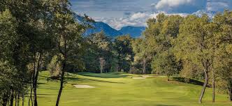 Image result for Avro Golf Club