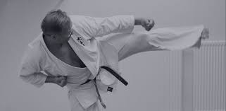 Image result for Carn Brea Karate Kai