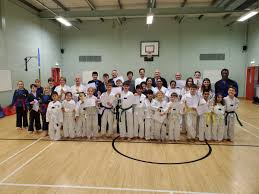 Image result for Hed Tkd (Dorking Tae Kwon-Do)