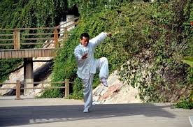 Image result for kung fu