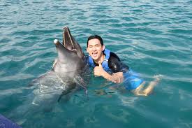 Image result for Adventure Dolphin