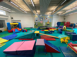 Image result for Gym Tots