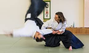 Image result for Fudokai Aikido Dojo