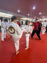 Image result for Henley Shotokan Karate Club