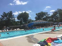 Image result for York University Pool Club