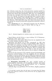 Attēlu rezultāti vaicājumam “Reticularia jurana spores”