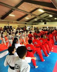 Image result for Taunton Karate academy