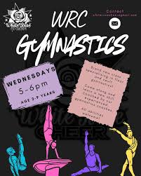 Image result for White Rose Trampoline Academy