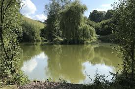 Image result for Taunton Angling Association