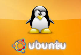 Ubuntu Linux Images?q=tbn:ANd9GcQs1DvR1dQ9r2VkBBx2OSm5XL9bzGZu4A9HgrCTf11FvDEOgbxW