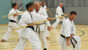Image result for British Karate Shunen Jutsu