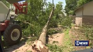 Image result for Halstead Cyclones