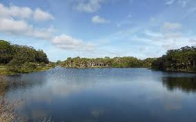 Image result for Slough Pirates