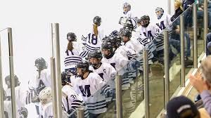 Image result for Tenbury Ladies Hockey Club