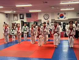 Image result for moray coast tang soo do