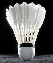 Image result for Saltley Centre Badminton Club